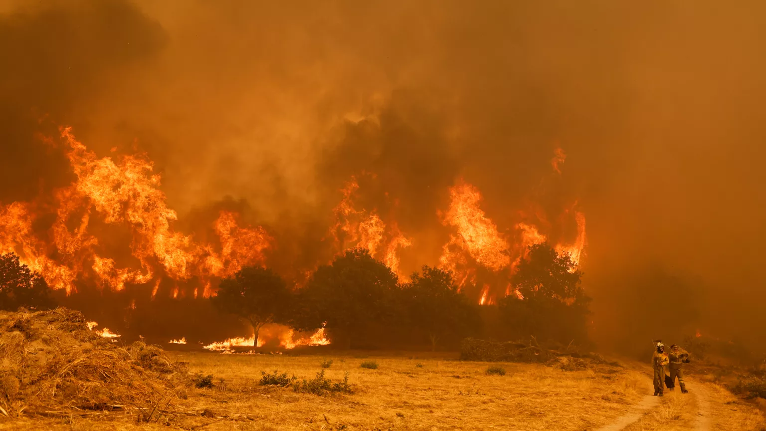 Los registradores de la propiedad facilitarán notas simples gratuitas a los afectados por la ola de incendios que asolan a Galicia, Castilla y León y Extremadura
