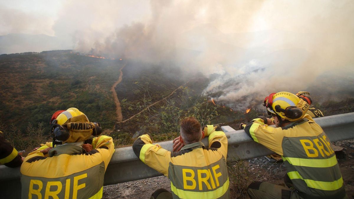 El Colegio de Registradores habilita a través de su web un formulario para facilitar a los afectados por los incendios notas simples de forma automática y gratuita